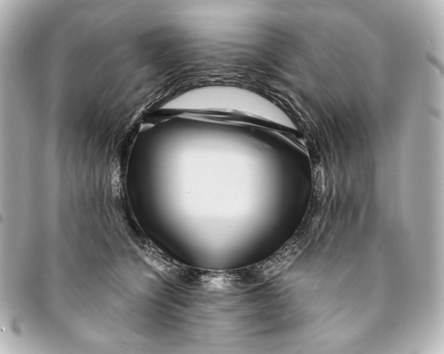 X0000094950564200712201140