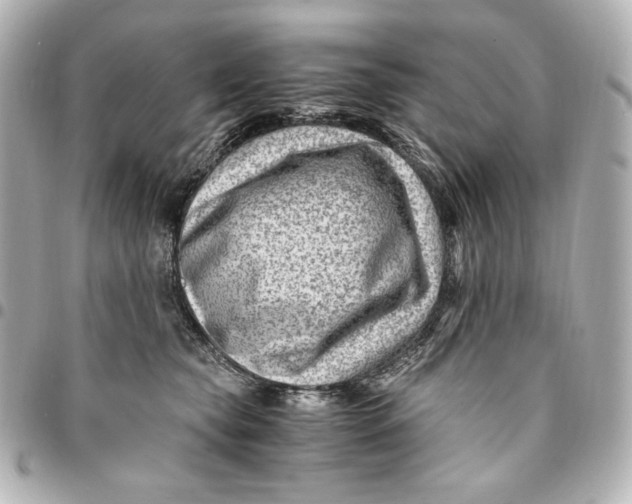 X0000094950565200712201140