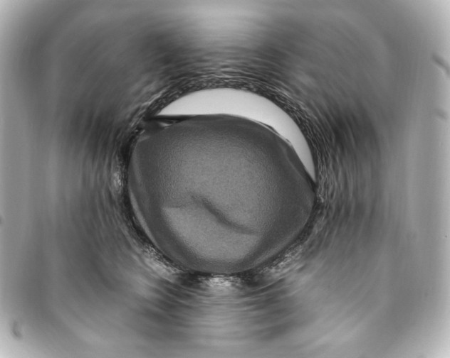 X0000094950566200712201140