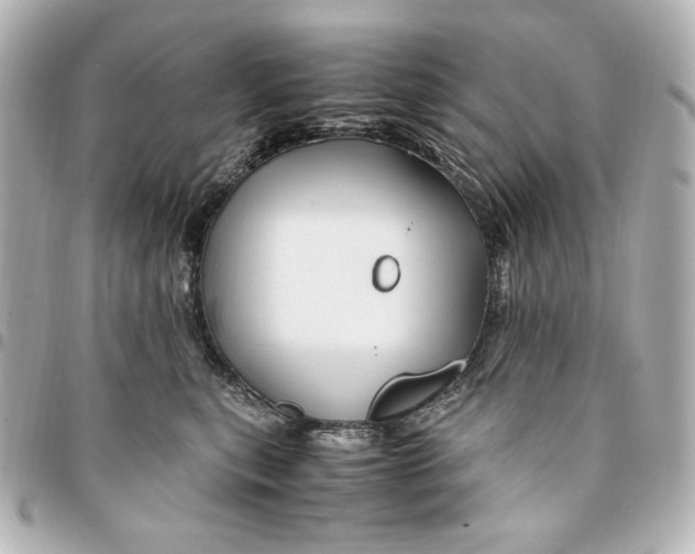 X0000094950567200712201140