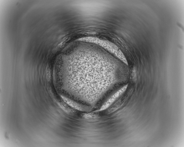 X0000094950568200712201140