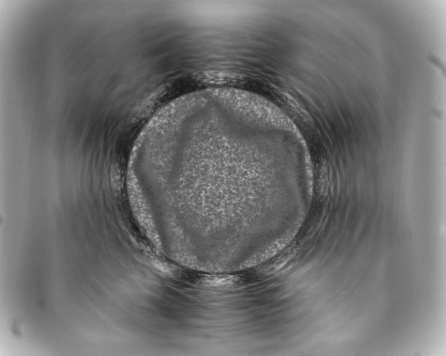 X0000094950569200712201140