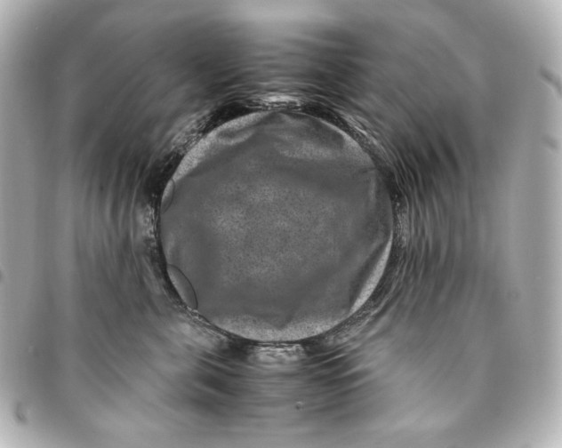 X0000094950571200712201140