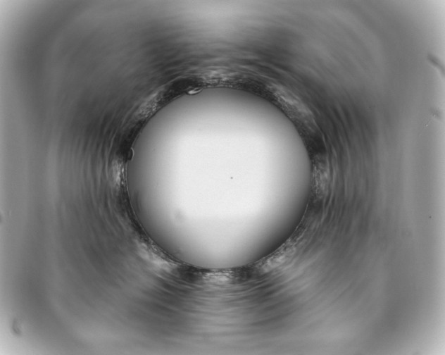 X0000094950574200712201140