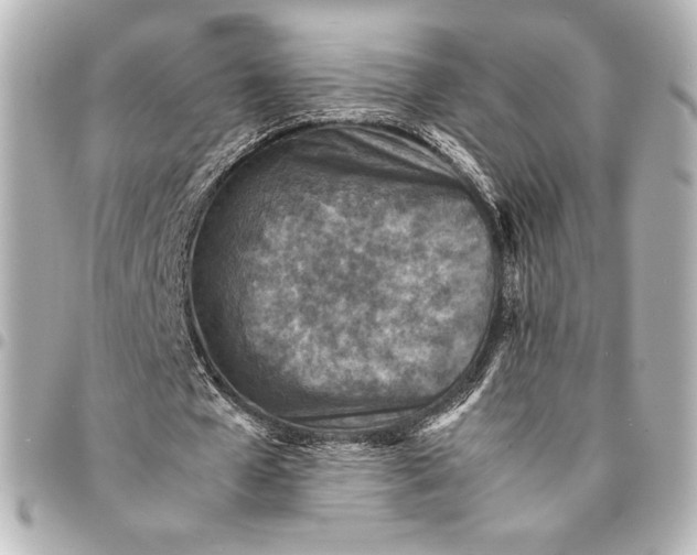 X0000094950577200712201140