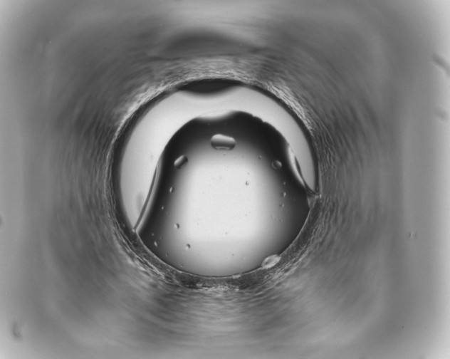 X0000094950579200712201140