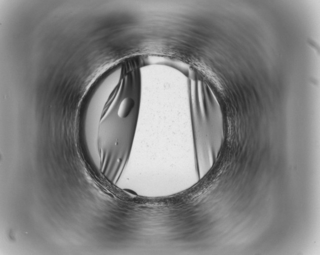 X0000094950580200712201140