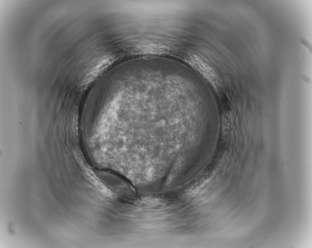 X0000094950581200712201139