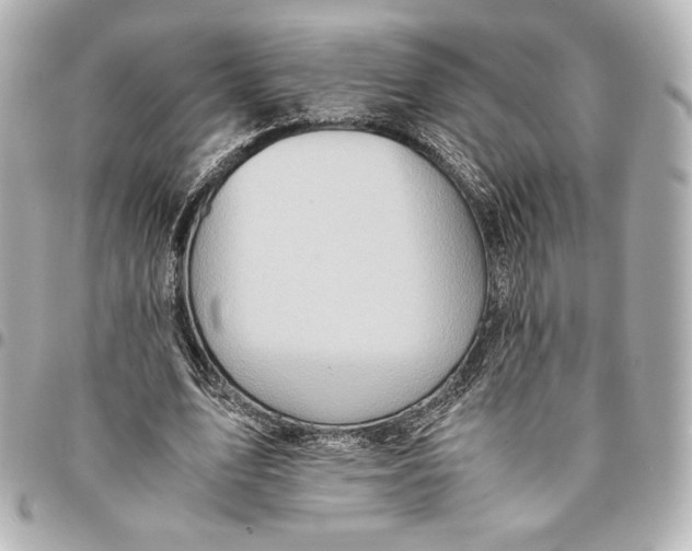 X0000094950583200712201139