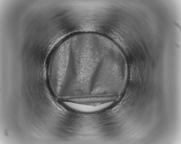 X0000094950584200712201139