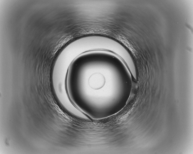 X0000094950585200712201139