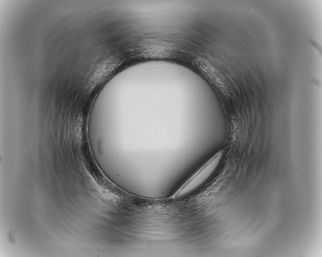 X0000094950586200712201139