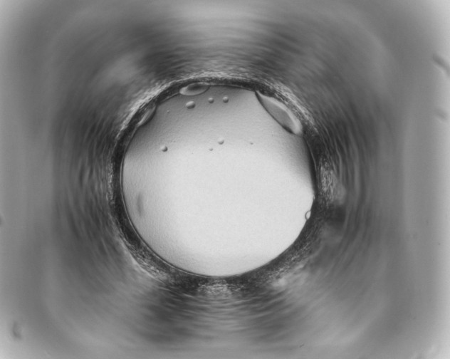 X0000094950588200712201139