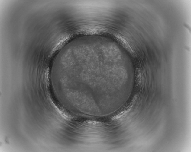 X0000094950590200712201139