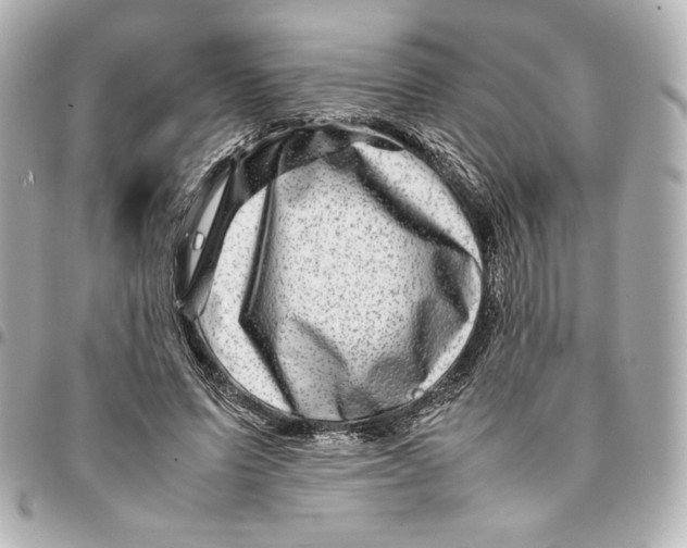 X0000094950591200712201139