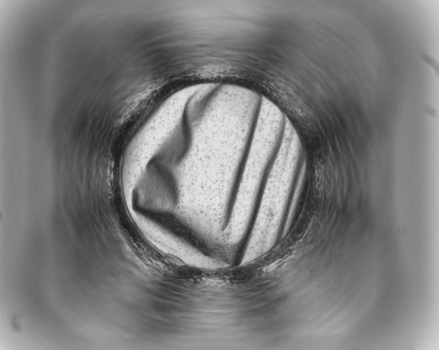 X0000094950592200712201139