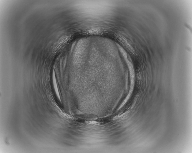 X0000094950593200712201139