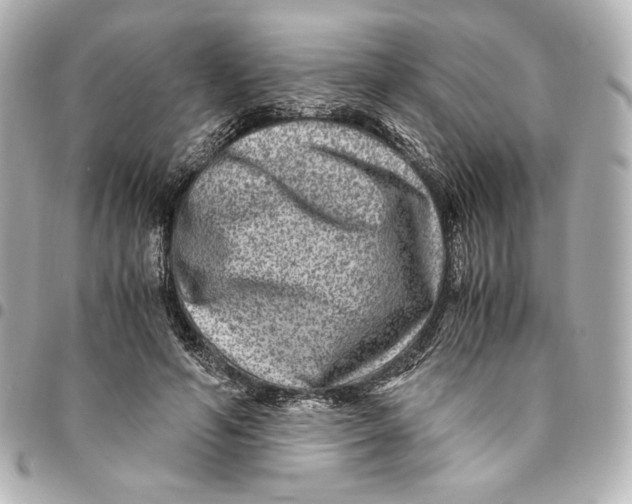 X0000094950594200712201139