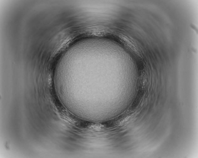 X0000094950595200712201139