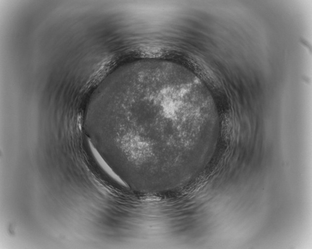 X0000094950598200712201139