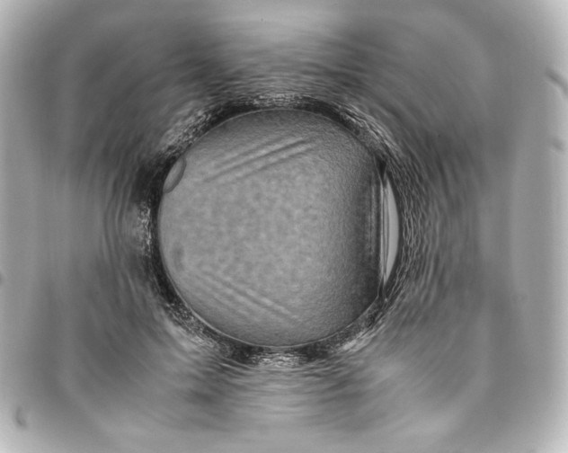 X0000094950599200712201139