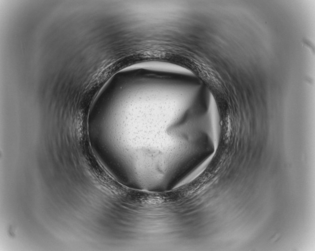 X0000094950600200712201139