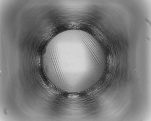 X0000094950602200712201139