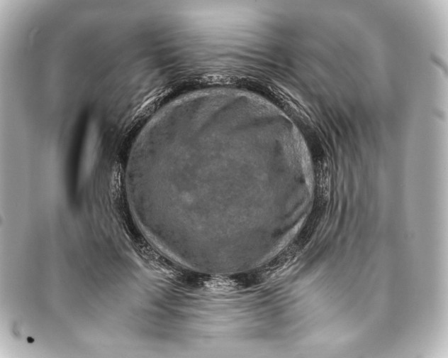 X0000094950603200712201139