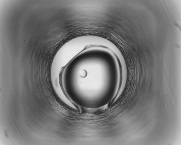 X0000094950605200712201139