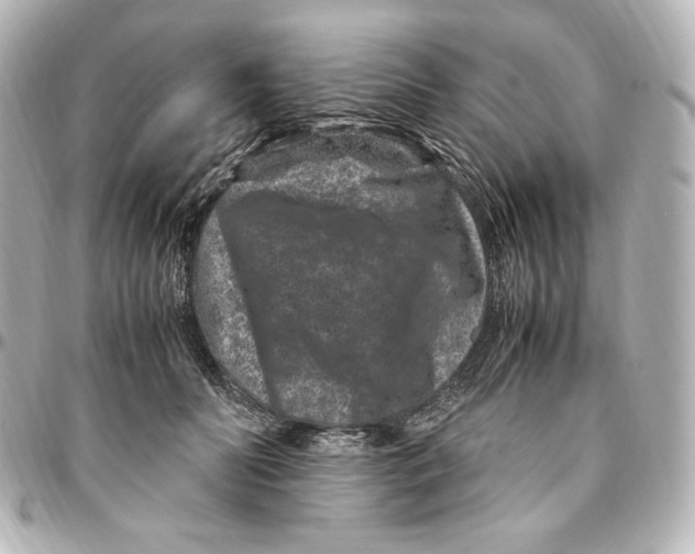 X0000094950606200712201139