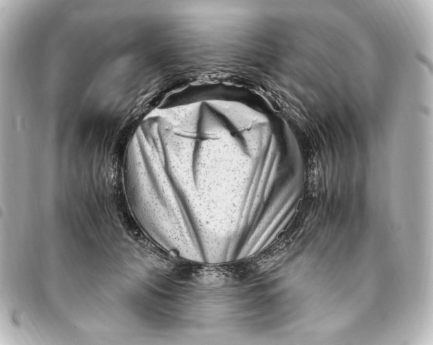 X0000094950608200712201139