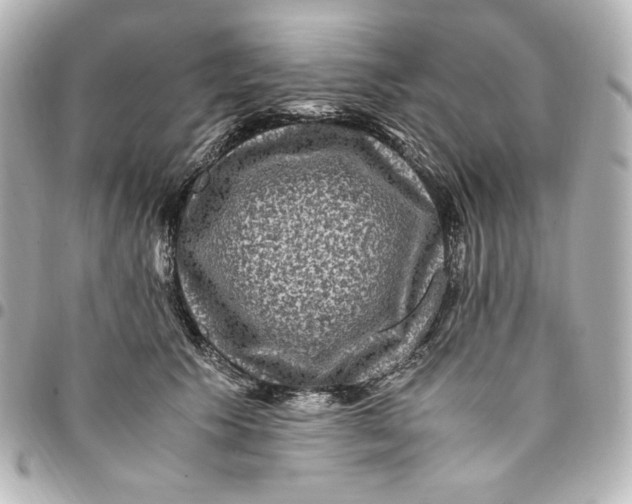 X0000094950609200712201139