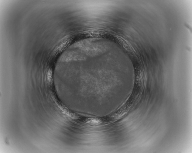 X0000094950610200712201139