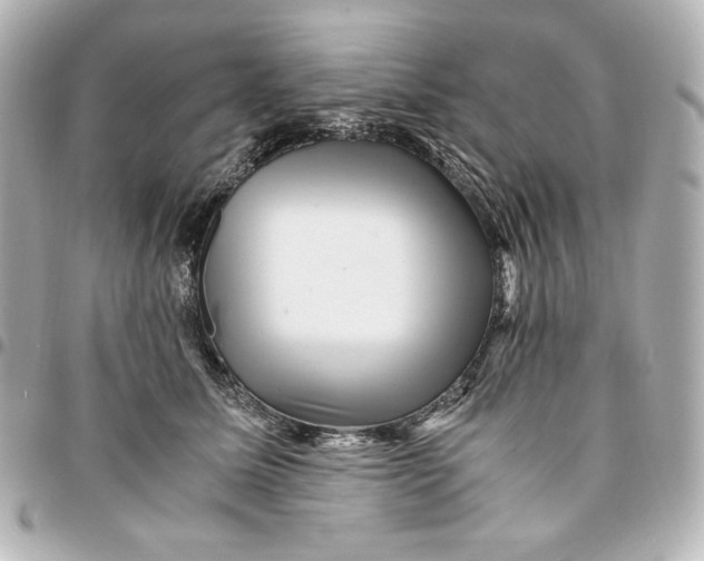 X0000094950611200712201139