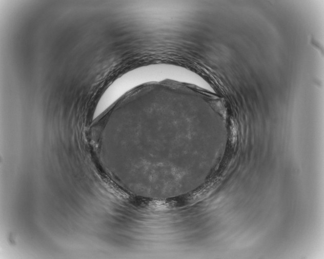 X0000094950613200712201139