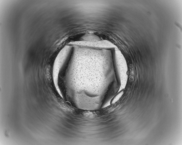 X0000094950616200712201139