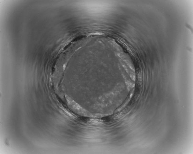 X0000094950617200712201139