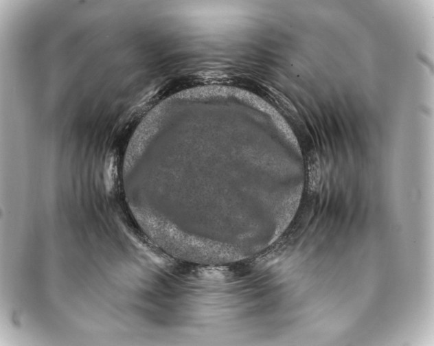 X0000094950618200712201139