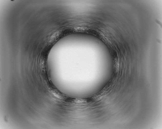 X0000094950619200712201139