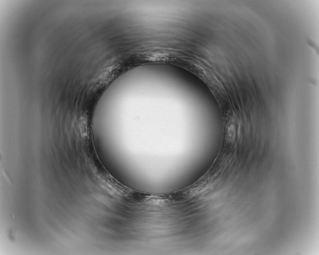 X0000094950620200712201139