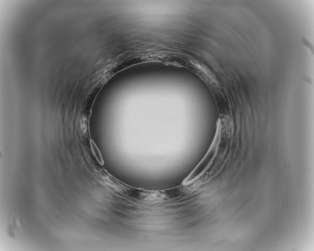 X0000094950621200712201139