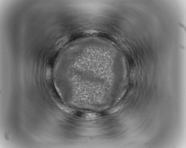 X0000094950623200712201139