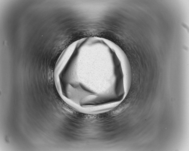 X0000094950624200712201139