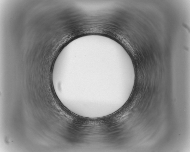 X0000094950625200712201138