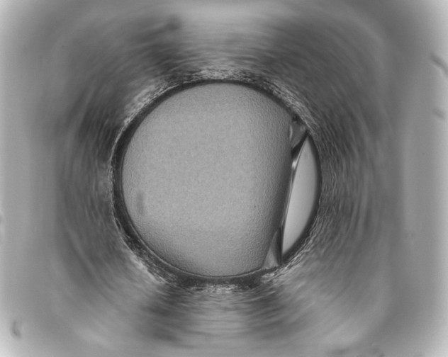 X0000094950626200712201138