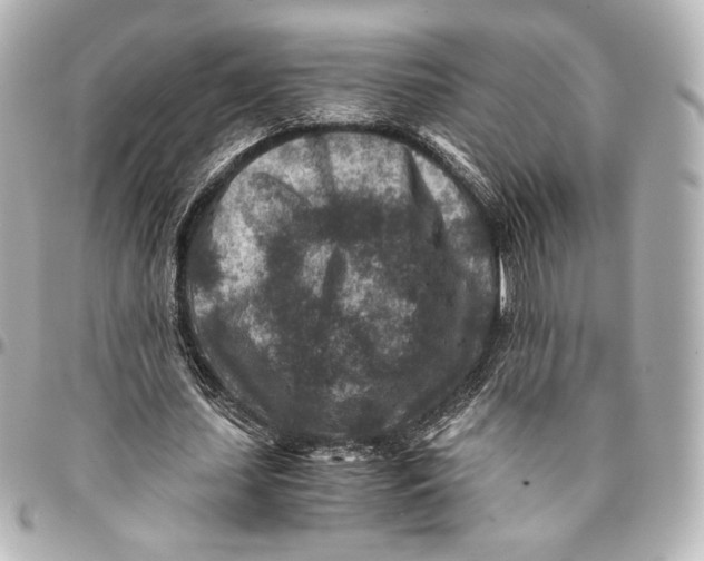 X0000094950627200712201138