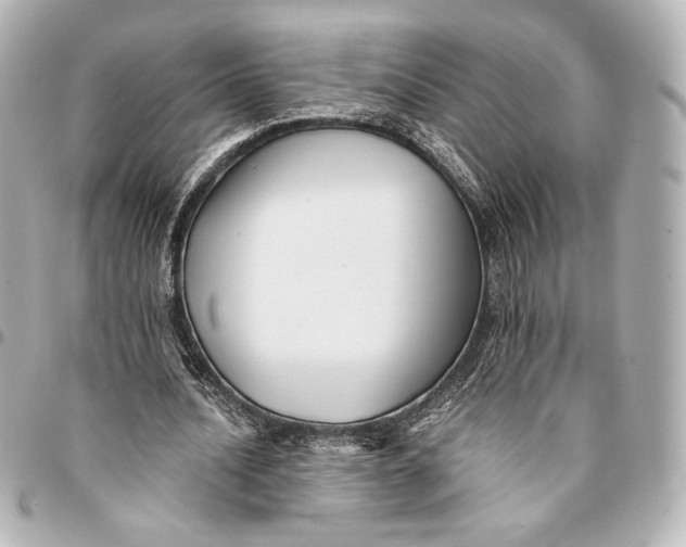 X0000094950628200712201138