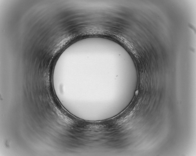 X0000094950629200712201138