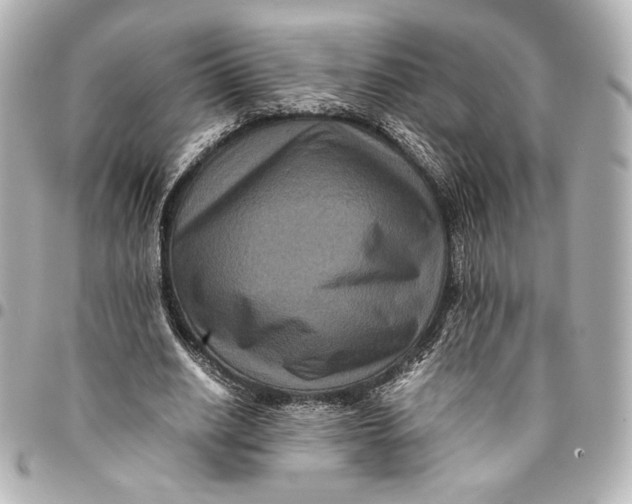 X0000094950630200712201138