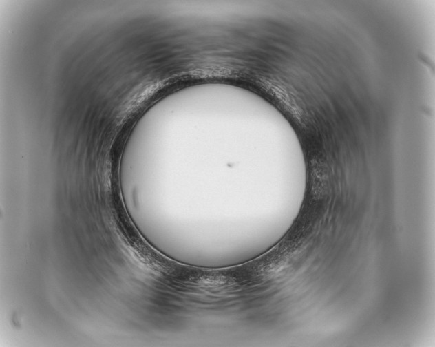 X0000094950631200712201138